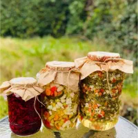 فروش ترشی خانگی