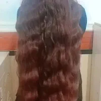 فروش و خریدار اصلی گیسو کمند ها موهاباقیمت میلیونی