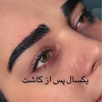 کاشت ابرو تضمینی با قیمت ویژه|خدمات آرایشگری و زیبایی|شیراز, قدوسی شرقی|دیوار