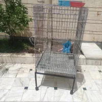 قفس طوطی