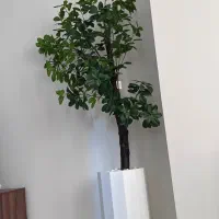 درختچه مصنوعی