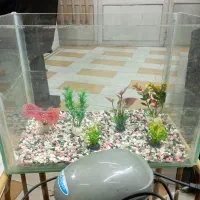 فروش آکواریوم باقیمت مناسب