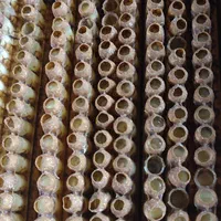 فروش ژل رویال|خوردنی و آشامیدنی|رحیمآباد, |دیوار