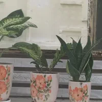 فروش ست گلدون با گل