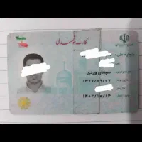 کارت ملی گمشده بنام سبحانوردی