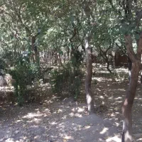 کیف مدارک درشهرآراگم شده