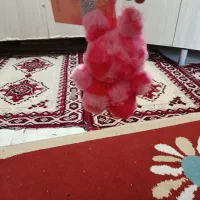 لبوبوی صورتی|اسباب‌‌بازی|شیراز, زند|دیوار