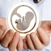 نیازمند رحم اجاره ای