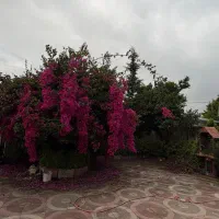 ویلای-خوش-قیمت-اسختر-دار