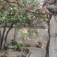فروش منزل ویلایی در بهترین نقطه در بافت تاریخی|فروش خانه و ویلا|شیراز, گود عربان|دیوار