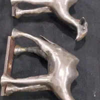 علامت+ شتر چکشی+۶گوش+گوی+ علم سردمی