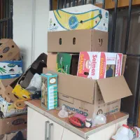 ۲۵عدد کارتن موز محکم برای اثاث کشی