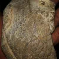 فروش فوری 300گرم یاقوت فقط امروز فقط|جواهرات|شیراز, لاله|دیوار