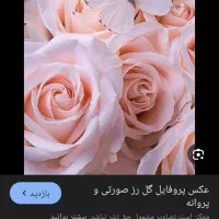 استخدام فوری