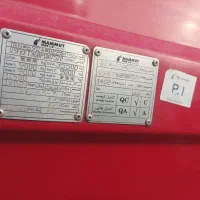 کفی ماموت درحد