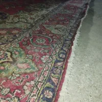 فرش عتیقه|فرش|اهواز, زیتون کارمندی|دیوار