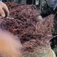 سمساری وضایعاتی