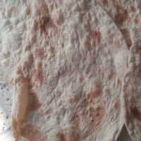 نان با کیفیت عالی|خوردنی و آشامیدنی|تربت جام, جلگه موسی آباد|دیوار