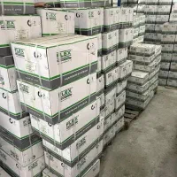 پیچ فلکس کناف