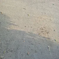 کیف پول گمشده