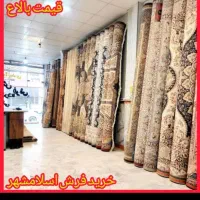 خریدوفروش گل لاله سمسار ۵۰۰ ۱۰۰۰ ۱۲۰۰شانه