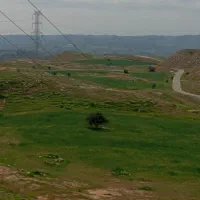 ۸میش ۶بره ۶بز ۶بیگ