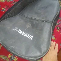 فروش گیتار درحد نو|گیتار، بیس، امپلیفایر|شاندیز, |دیوار