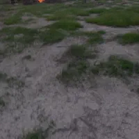 فروش زمین برای خونه باغ