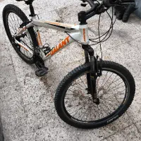 دوچرخه گالانت ۲۶|دوچرخه، اسکیت، اسکوتر|باوی, |دیوار