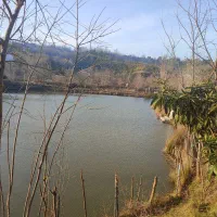 اجاره ویلا ۵۰ متری|اجارهٔ کوتاه‌مدت ویلا و باغ|املش, |دیوار