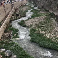 بوژان سوئیت آپارتمان تک خوابه ۷۰ متری|اجارهٔ کوتاه‌مدت آپارتمان و سوئیت|نیشابور, فضل|دیوار