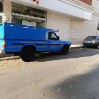 نیسان دوگانه دستی