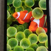 گوشی ایفون 16پرومکس