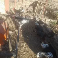 مرغ وخروس|حیوانات مزرعه|صوغان, |دیوار