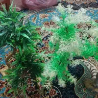 آکواریوم باپایه وهمه وسایلش|ماهی|بروجرد, |دیوار