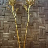 گل ورق طلا ۲۴ ایار