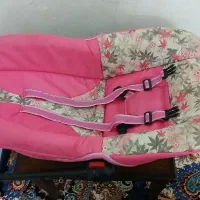 کریر بچه سالم (معاوضه)