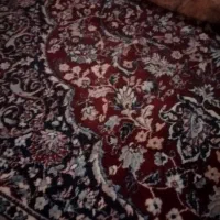 فرش۱۲ متری ارم کاشان|فرش|اردبیل, |دیوار