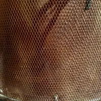 تنور|اجاق گاز و لوازم برقی پختوپز|ایلام, |دیوار