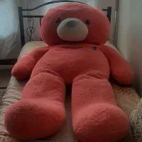 خرس ۱ونیم متری