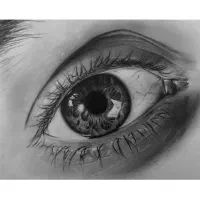 آموزش تخصصی سیاه قلم و رنگ روغن|خدمات آموزشی|شوش, |دیوار