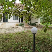 ویلای-دربست-جنگلی-باغ-سوییت-گیلان