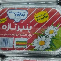 پنیر پگاه ۴۰۰ گرمی