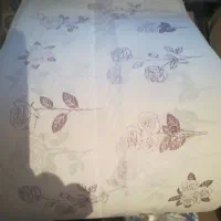 طاقه سفره یکبار مصرف و سفره|سفره، حوله، دستمال آشپزخانه|کرمانشاه, |دیوار