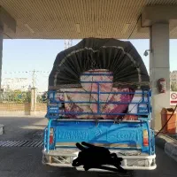 جابجایی اثاثیه منزل، تربار و خشکبار سراسر ایران|خدمات حمل و نقل|داراب, |دیوار