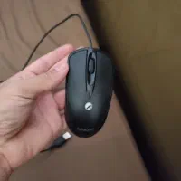 موس در حد نونو