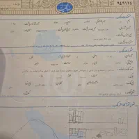 زمین-جاده-طالقان