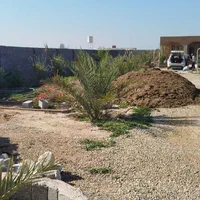 امورباغبانی و خونه باغ و باغات نخل|خدمات باغبانی و درختکاری|بوشهر, |دیوار