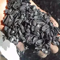 کربن پوس پسته