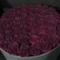 گل روبانی|گل مصنوعی|کرمان, |دیوار